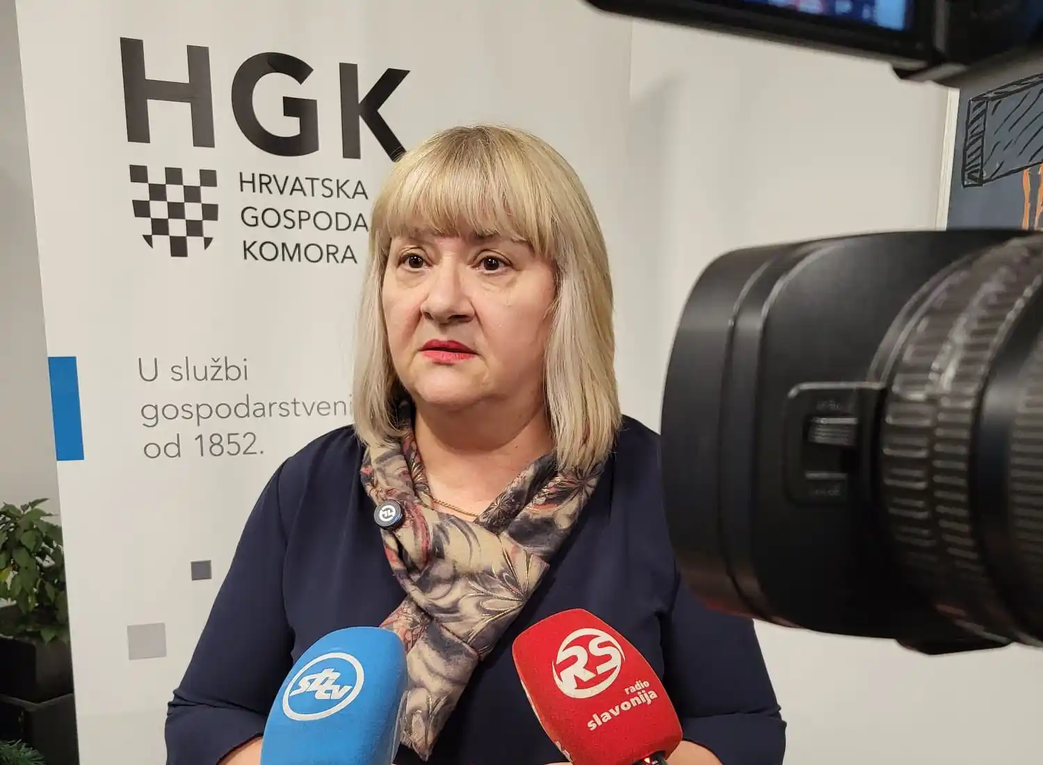 Anica Vukašinović, pročelnica BPŽ Upravnog odjela web foto .jpg