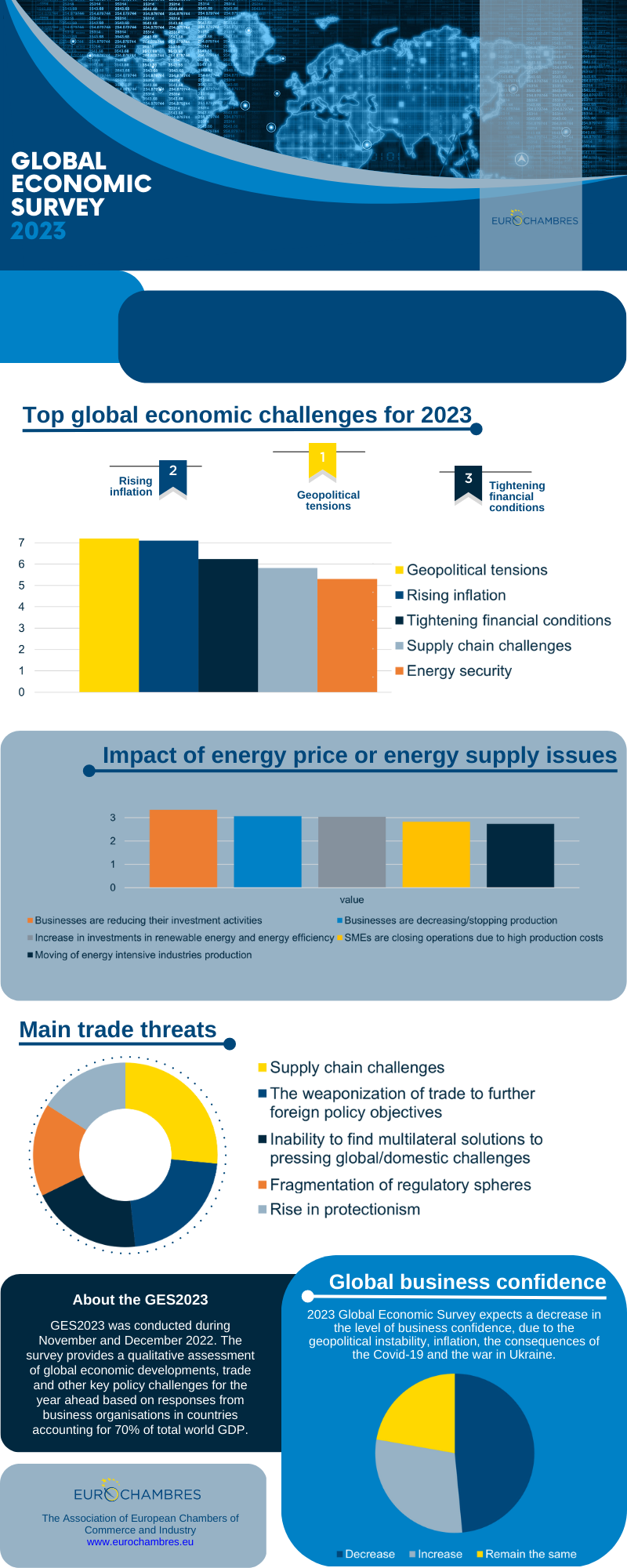 Global-Economic-Survey-Infographic-800-×-2000px-1.png