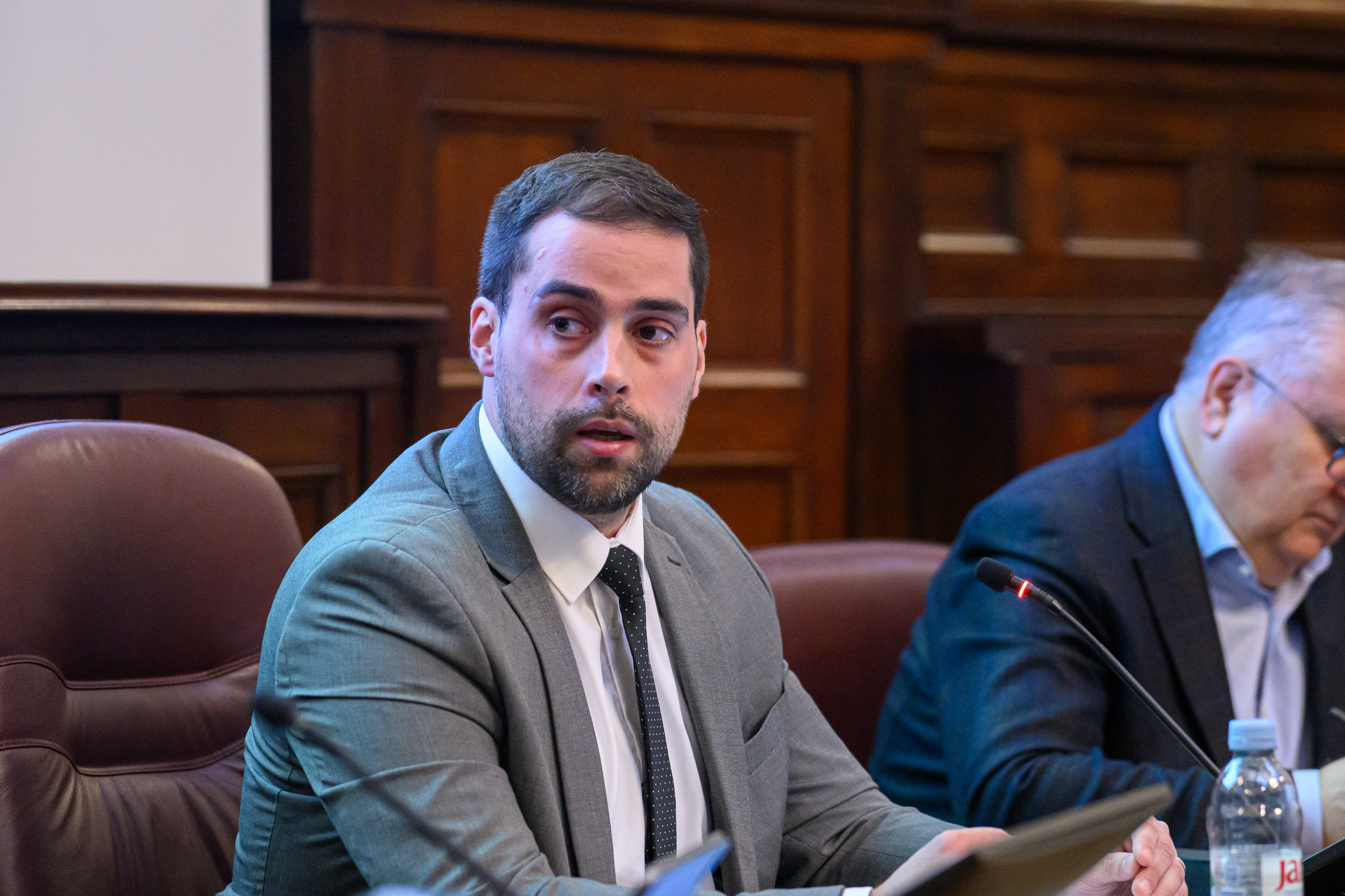 Goran Romek1.jpg