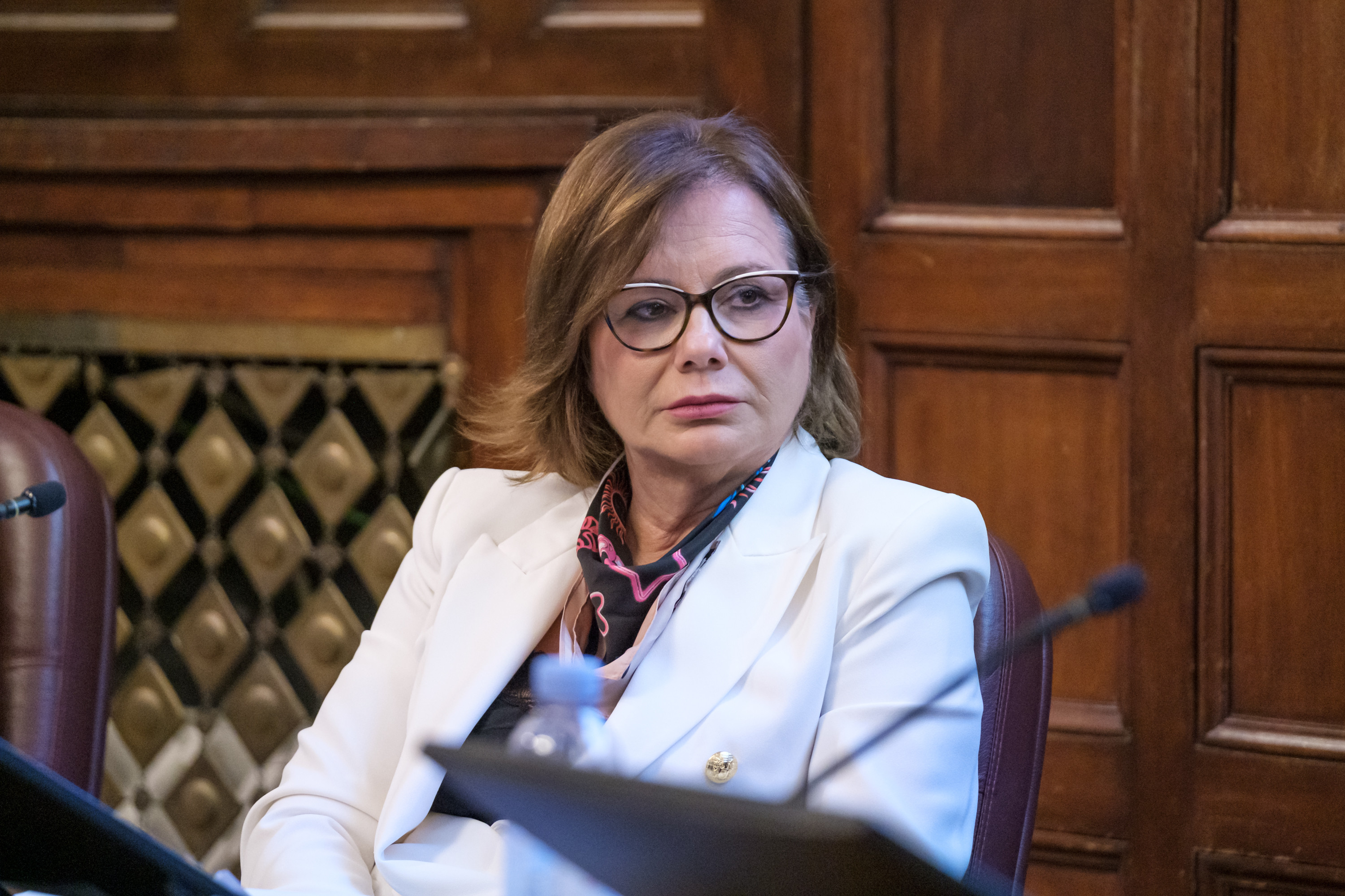 panel Mirjana Čagalj.jpg