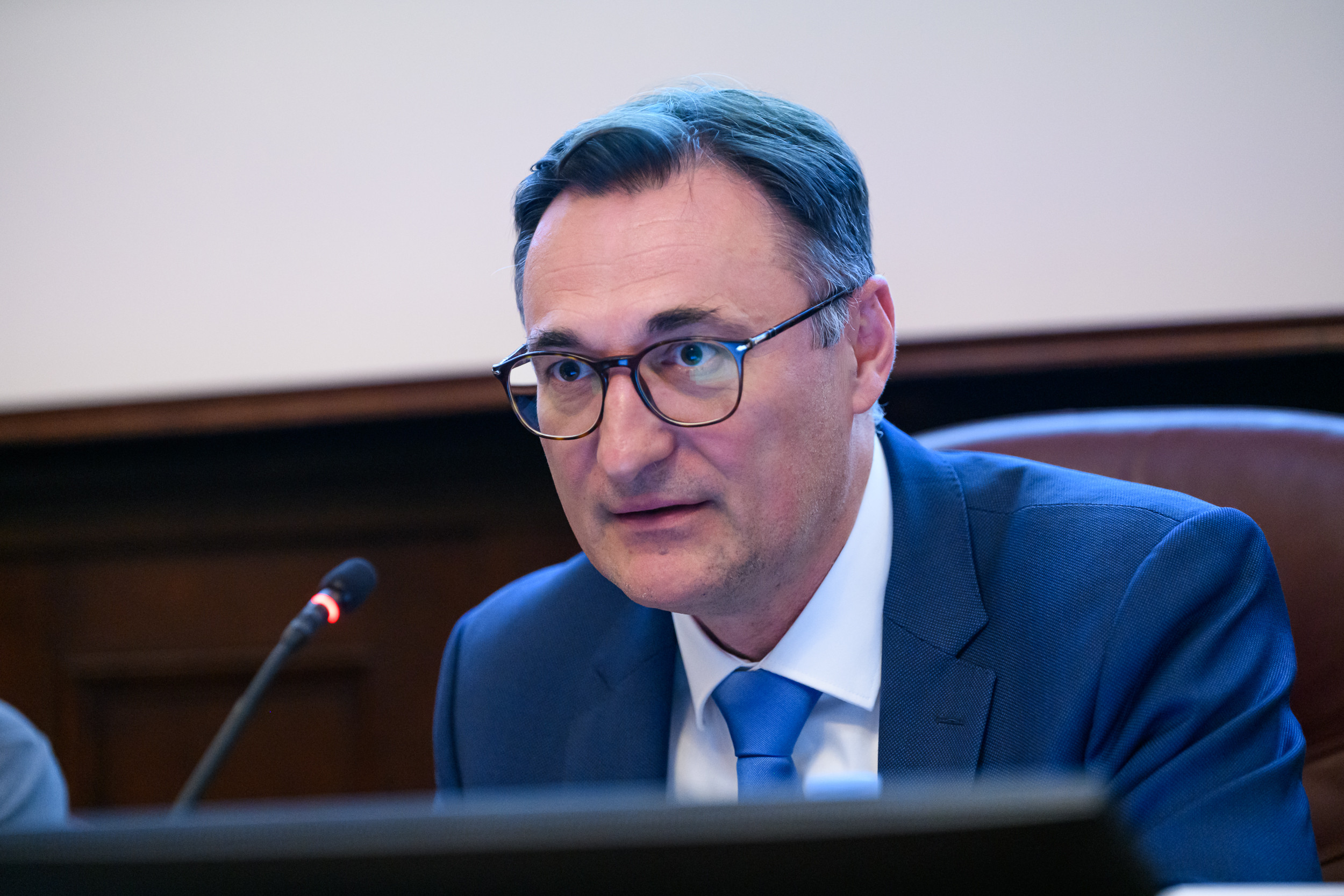 panelist Robert Vučković.jpg