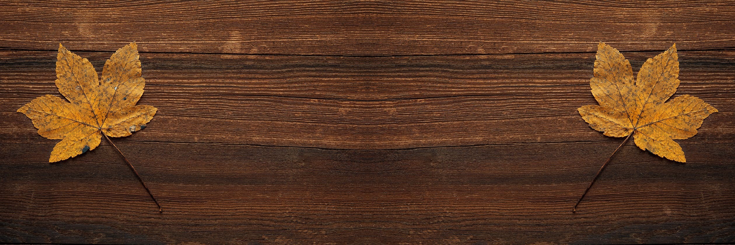 wood.jpeg